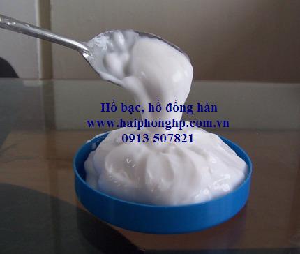 haiphonghp.com.vn